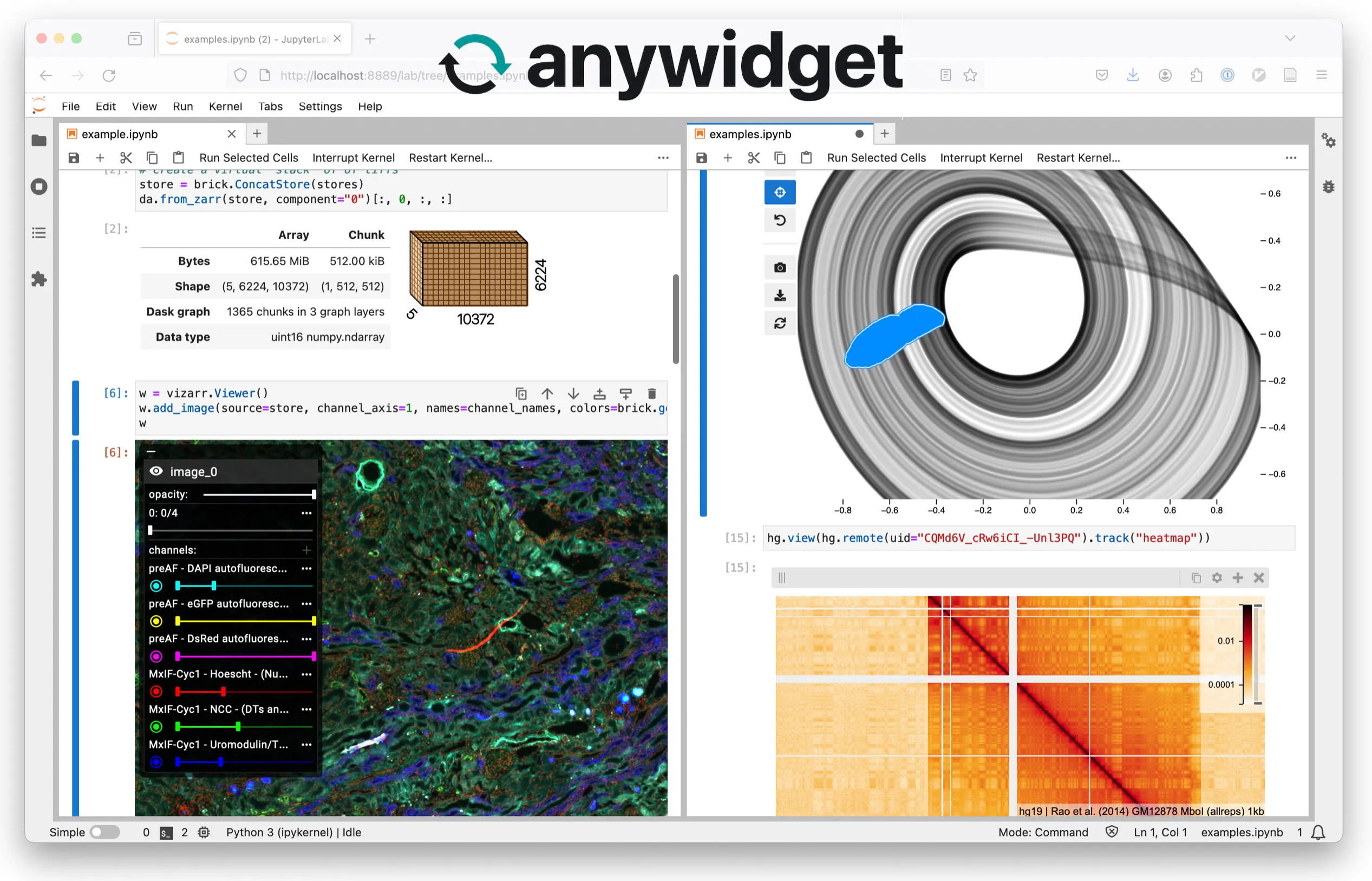 anywidget visualizations inside a JupyterLab notebook